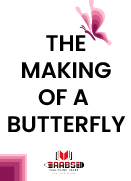 The Making Of  A Butterfly